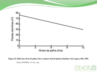 Fonte: OLIVEIRA, L. E. de., 2014.
 