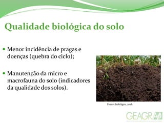 Qualidade biológica do solo
 Menor incidência de pragas e
doenças (quebra do ciclo);
 Manutenção da micro e
macrofauna do solo (indicadores
da qualidade dos solos).
Fonte: InfoAgro, 2018.
 