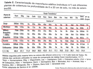 Fonte: Plantas de cobertura dos solos do Cerrado, 2010.
 