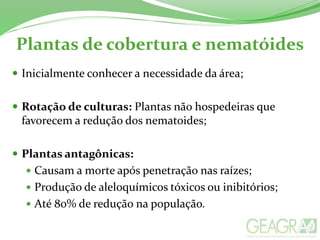  Inicialmente conhecer a necessidade da área;
 Rotação de culturas: Plantas não hospedeiras que
favorecem a redução dos nematoides;
 Plantas antagônicas:
 Causam a morte após penetração nas raízes;
 Produção de aleloquímicos tóxicos ou inibitórios;
 Até 80% de redução na população.
Plantas de cobertura e nematóides
 