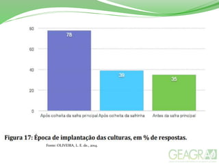 Fonte: OLIVEIRA, L. E. de., 2014.
 