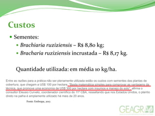 Custos
 Sementes:
 Brachiaria ruziziensis – R$ 8,80 kg;
 Bracharia ruziziensis incrustada – R$ 8,17 kg.
Quantidade utilizada: em média 10 kg/ha.
Fonte: Embrapa, 2017.
 