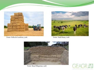 Fonte: Todd klassy, 2018.Fonte: Folha de Londrina, 2018.
Fonte: Royal Máquinas, 2018.
 