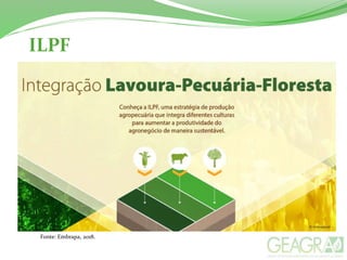 ILPF
Fonte: Embrapa, 2018.
 