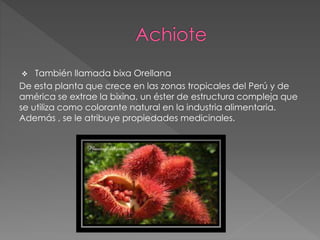  También llamada bixa Orellana 
De esta planta que crece en las zonas tropicales del Perú y de 
américa se extrae la bixina, un éster de estructura compleja que 
se utiliza como colorante natural en la industria alimentaria. 
Además , se le atribuye propiedades medicinales. 
 