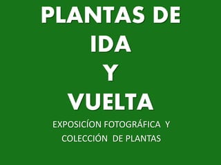 PLANTAS DE
IDA
Y
VUELTA
EXPOSICÍON FOTOGRÁFICA Y
COLECCIÓN DE PLANTAS
 
