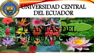 UNIVERSIDAD CENTRAL
DEL ECUADOR
PLANTAS DEL
ECUADOR
 