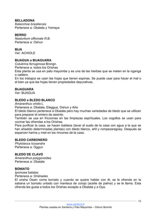 www.santeria.fr
Plantas usadas en Santería y Palo Mayombe – Oshun Bomiré
13
BELLADONA
Kalanchoe brasiliensis
Pertenece a: Obatala y Yemaya
BERRO
Nasturtium officinale R.B.
Pertenece a: Oshun
BIJA
Ver: ACHIOLE
BIJAGUA o BIJAGUARA
Colubrina ferruginosa Brongn.
Pertenece a: todos los Orishas
Esta planta se usa en palo mayombe y es una de las hierbas que se meten en la nganga
o caldero.
En los trabajos se usan las hojas que tienen espinas. Se puede usar para hacer el mal o
el bien ya que las hojas tienen propiedades depurativas.
BIJAGUARA
Ver: BIJAGUA
BLEDO o BLEDO BLANCO
Amaranthus viridis L
Pertenece a: Obatala, Eleggua, Oshun y Aña
El bledo blanco pertenece a Obatala pero hay muchas variedades de bledo que se utilizan
para preparar el omiero de asiento.
También se usa en fricciones en las limpiezas espirituales. Los cogollos se usan para
cocinar las ofrendas a los Orishas.
Para purificar la casa, se hacen baldeos (lavar el suelo de la casa con agua a la que se
han añadido determinadas plantas) con bledo blanco, añil y rompezaragüey. Después se
esparcen harina y miel en los rincones de la casa.
BLEDO CARBONERO
Phytolacca Icosandra
Pertenece a: Oggun
BLEDO DE CLAVO
Amaranthus polygonoides
Pertenece a: Obatala
BONIATO
Ipomoea batatas
Pertenece a: Orishaoko
El orisha Osain come boniato y cuando se quiere hablar con él, se le ofrenda en la
sabana un boniato untado con manteca de corojo (aceite de palma) y se le llama. Esta
ofrenda les gusta a todos los Orishas excepto a Obatala y a Oya.
 