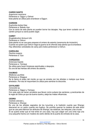 www.santeria.fr
Plantas usadas en Santería y Palo Mayombe – Oshun Bomiré
18
CARDO SANTO
Argemone mexicana
Pertenece a: Oggun y Oshosi
Esta planta se utiliza para enardecer a Oggun.
CARDON
Euphorbia lactea Haw
Pertenece a: Babalu Aye
Con la savia de esta planta se pueden borrar los tatuajes. Hay que tener cuidado con el
cardón porque su savia puede cegar.
CAREY
Krugiodendron ferreum Urb
Pertenece a: Oshun
Esta planta no se usa para preparar el omiero de asiento (ceremonia de iniciación).
Cuando se quiere que Oshun haga la guerra se le ofrenda esta planta que la enardece.
Hay diferentes variedades de carey pero todos pertenecen a Oshun.
CAROLINA
Pachira insignis
Pertenece a: Oya
CARQUESA
Ambrosia hispida
Pertenece a: Yemaya
Se utiliza para hacer limpiezas espirituales o despojos.
Es una de las hierbas del omiero de asiento.
CAUMAO
Wallenia Laurifolia
Pertenece a: Eleggua
Se le llama el pulpo del monte ya que se enreda con los árboles o matojos que tiene
alrededor. Por eso el mayombero la utiliza para sembrar la discordia.
CAYAJABO
Canavalia sp.
Pertenece a: Oggun y Yemaya
Con este palo se hacen amuletos que llevan como pulsera las santeras y practicantes de
la regla de Osha ya que da buena suerte y aleja las malas influencias.
CEDRO
Cedrela odorata L.
Pertenece a: Shango
Es uno de los árboles sagrados de los lucumíes y la tradición cuenta que Shango
descansó en un cedro cuando era fugitivo. Se prohíbe quemar la madera de este árbol
que se usa para fabricar los atributos de Shango, las estatuas, las reliquias y las cruces.
Si se quiere evitar que el mal entre en una casa, hay que colgar con una cinta roja una
cruz pequeña hecha con madera de cedro detrás de la puerta de entrada de la casa.
 