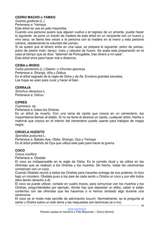 www.santeria.fr
Plantas usadas en Santería y Palo Mayombe – Oshun Bomiré
19
CEDRO MACHO o YAMAO
Guarea guidonia (L.)
Pertenece a: Yemaya
Este árbol se usa en palo mayombe.
Cuando una persona quiere que alguien vuelva o el regreso de un amante, puede hacer
lo siguiente: se pone un trocito de madera de este árbol en un recipiente con un huevo y
vino seco; se llama tres veces a la persona con la madera en la mano y esta persona
volverá, obedeciendo la voluntad del yamao.
Si se quiere que el dinero entre en una casa, se prepara lo siguiente: polvo de yamao,
polvo de piedra imán, benjuí, maíz y cáscara de huevo. Se sopla esta preparación en la
casa al tiempo que se dice: “talismán de Portugalete, trae dinero a mi casa”.
Este árbol sirve para hacer mal a distancia.
CEIBA o IROKO
Ceiba pentandra (L.) Gaertn. o Chorisia speciosa
Pertenece a: Shango, Aña y Oddua
Es el árbol sagrado de la regla de Osha y de Ifa. Encierra grandes secretos.
Las hojas se usan para curar y hacer el bien.
CERRAJA
Sonchus oleraceus L
Pertenece a: Oshun
CIPRES
Cupressus sp.
Pertenece a: todos los Orishas
Es un árbol de muerto. Con una rama de ciprés que crezca en un cementerio, los
mayomberos llaman al diablo. Si no se tiene al alcance un ciprés, cualquier árbol, hierba o
matorral que crezca en el interior del cementerio puede usarse para trabajos de magia
negra.
CIRUELA HUESITO
Spondias purpurea L.
Pertenece a: Babalu Aye, Obba, Shango, Oya y Yemaya
Es el árbol preferido de Oya que utiliza este palo para hacer la guerra.
COCO
Cocos nucifera
Pertenece a: Obatala
El coco es indispensable en la regla de Osha. Es la comida ritual y se utiliza en las
ofrendas que se realizan a los Orishas y los muertos. De hecho, todas las ceremonias
comienzan con un coco.
Cuando Obatala reunió a todos los Orishas para hacerles entrega de sus poderes, lo hizo
bajo un cocotero. Obatala puso a los pies de cada santo u Orisha un coco y por ello todos
ellos tienen derecho a él.
El coco se puede utilizar, cortado en cuatro trozos, para comunicar con los muertos y los
Orishas, preguntándoles por ejemplo, dónde hay que depositar un ebbo, saber si están
contentos con las ofrendas que les hacemos o si hemos olvidado algo durante una
ceremonia.
El coco es el modo más sencillo de adivinación lucumí. Normalmente, se le pregunta al
santo u Orisha sobre un solo tema y las respuestas son lacónicas (si o no).
 