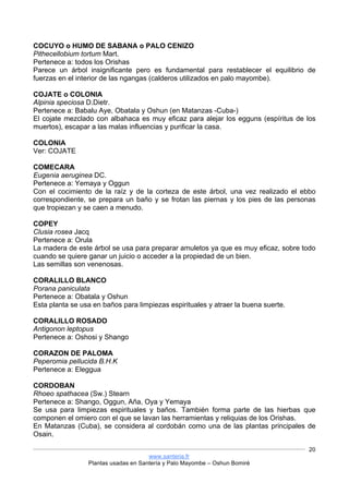www.santeria.fr
Plantas usadas en Santería y Palo Mayombe – Oshun Bomiré
20
COCUYO o HUMO DE SABANA o PALO CENIZO
Pithecellobium tortum Mart.
Pertenece a: todos los Orishas
Parece un árbol insignificante pero es fundamental para restablecer el equilibrio de
fuerzas en el interior de las ngangas (calderos utilizados en palo mayombe).
COJATE o COLONIA
Alpinia speciosa D.Dietr.
Pertenece a: Babalu Aye, Obatala y Oshun (en Matanzas -Cuba-)
El cojate mezclado con albahaca es muy eficaz para alejar los egguns (espíritus de los
muertos), escapar a las malas influencias y purificar la casa.
COLONIA
Ver: COJATE
COMECARA
Eugenia aeruginea DC.
Pertenece a: Yemaya y Oggun
Con el cocimiento de la raíz y de la corteza de este árbol, una vez realizado el ebbo
correspondiente, se prepara un baño y se frotan las piernas y los pies de las personas
que tropiezan y se caen a menudo.
COPEY
Clusia rosea Jacq
Pertenece a: Orula
La madera de este árbol se usa para preparar amuletos ya que es muy eficaz, sobre todo
cuando se quiere ganar un juicio o acceder a la propiedad de un bien.
Las semillas son venenosas.
CORALILLO BLANCO
Porana paniculata
Pertenece a: Obatala y Oshun
Esta planta se usa en baños para limpiezas espirituales y atraer la buena suerte.
CORALILLO ROSADO
Antigonon leptopus
Pertenece a: Oshosi y Shango
CORAZON DE PALOMA
Peperomia pellucida B.H.K
Pertenece a: Eleggua
CORDOBAN
Rhoeo spathacea (Sw.) Stearn
Pertenece a: Shango, Oggun, Aña, Oya y Yemaya
Se usa para limpiezas espirituales y baños. También forma parte de las hierbas que
componen el omiero con el que se lavan las herramientas y reliquias de los Orishas.
En Matanzas (Cuba), se considera al cordobán como una de las plantas principales de
Osain.
 