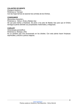 www.santeria.fr
Plantas usadas en Santería y Palo Mayombe – Oshun Bomiré
22
CULANTRO DE MONTE
Eryngium foyidum L.
Pertenece a: Yemaya
Con las hojas tiernas se sazonan las comidas de los Orishas.
CUNDEAMOR
Momordica charantia L.
Pertenece a: Oshun, Orula y Babalu Aye
Se usa para baños y limpiezas. Se pone a los pies de Babalu Aye para que el Orisha
bendiga la planta dándole sus propiedades medicinales y milagrosas.
CURUJEY
Hohenbergia penduliflora
Pertenece a: Shango y Aña
Es un parásito que vive encaramado en los árboles. Con esta planta hacen limpiezas
espirituales y afoché o polvos mágicos.
 