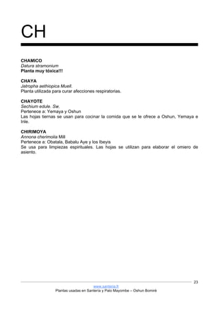 www.santeria.fr
Plantas usadas en Santería y Palo Mayombe – Oshun Bomiré
23
CH
CHAMICO
Datura stramonium
Planta muy tóxica!!!
CHAYA
Jatropha aethiopica Muell.
Planta utilizada para curar afecciones respiratorias.
CHAYOTE
Sechium edule. Sw.
Pertenece a: Yemaya y Oshun
Las hojas tiernas se usan para cocinar la comida que se le ofrece a Oshun, Yemaya e
Inle.
CHIRIMOYA
Annona cherimolia Mill
Pertenece a: Obatala, Babalu Aye y los Ibeyis
Se usa para limpiezas espirituales. Las hojas se utilizan para elaborar el omiero de
asiento.
 