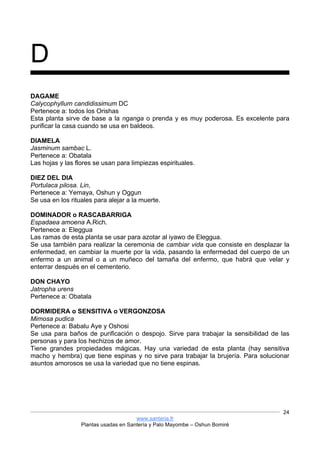 www.santeria.fr
Plantas usadas en Santería y Palo Mayombe – Oshun Bomiré
24
D
DAGAME
Calycophyllum candidissimum DC
Pertenece a: todos los Orishas
Esta planta sirve de base a la nganga o prenda y es muy poderosa. Es excelente para
purificar la casa cuando se usa en baldeos.
DIAMELA
Jasminum sambac L.
Pertenece a: Obatala
Las hojas y las flores se usan para limpiezas espirituales.
DIEZ DEL DIA
Portulaca pilosa. Lin,
Pertenece a: Yemaya, Oshun y Oggun
Se usa en los rituales para alejar a la muerte.
DOMINADOR o RASCABARRIGA
Espadaea amoena A.Rich.
Pertenece a: Eleggua
Las ramas de esta planta se usar para azotar al iyawo de Eleggua.
Se usa también para realizar la ceremonia de cambiar vida que consiste en desplazar la
enfermedad, en cambiar la muerte por la vida, pasando la enfermedad del cuerpo de un
enfermo a un animal o a un muñeco del tamaña del enfermo, que habrá que velar y
enterrar después en el cementerio.
DON CHAYO
Jatropha urens
Pertenece a: Obatala
DORMIDERA o SENSITIVA o VERGONZOSA
Mimosa pudica
Pertenece a: Babalu Aye y Oshosi
Se usa para baños de purificación o despojo. Sirve para trabajar la sensibilidad de las
personas y para los hechizos de amor.
Tiene grandes propiedades mágicas. Hay una variedad de esta planta (hay sensitiva
macho y hembra) que tiene espinas y no sirve para trabajar la brujería. Para solucionar
asuntos amorosos se usa la variedad que no tiene espinas.
 