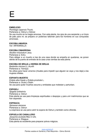 www.santeria.fr
Plantas usadas en Santería y Palo Mayombe – Oshun Bomiré
25
E
EMBELESO
Plumbago capensis Thunb.
Pertenece a: Oshun y Oshosi
Se usa mucho en la magia amorosa. Con esta planta, los ojos de una serpiente y un trozo
de palo para mi, se prepara un poderoso talismán para los hombres en sus conquistas
amorosas.
ESCOBA AMARGA
Ver: ARTEMISILLA
ESCOBA CIMARRONA
Abutilon trisulcatum Jacq.
Pertenece a: Eshu
Para obligar a un muerto a irse de una casa donde se empeña en quedarse, se ponen
detrás de la puerta de entrada de la casa unas ramitas de esta planta.
ESCOBA DE BRUJA o HIERBA DE BRUJA
Bastardia viscosa (L.) Kunth
Pertenece a: Yemaya
Se utiliza para hacer amarres (rituales para impedir que alguien se vaya y nos deje) a las
mujeres infieles.
ESPANTA MUERTO
Eclipta alba Hassk y Eclipta prostrata L.
Pertenece a: Orula y Osain
Se usa para quitar muertos oscuros y entidades que molestan y perturban.
ESPIGELI
Spigelia anthelmía
Pertenece a: Oshun
Esta planta se usa para limpiezas espirituales o despojos y para unir matrimonios que se
han separado.
ESPINACA
Spinacea oleracea
Pertenece a: Oshun
La espinaca se usa para cubrir la sopera de Oshun y también como ofrenda.
ESPUELA DE CABALLERO
Jacquinia aculeata Mez in Urb.
Pertenece a: Eleggua
Esta planta es excelente para preparar polvos mágicos.
 