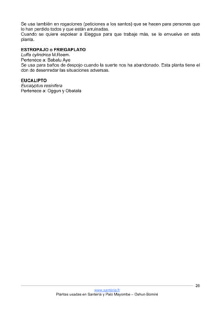 www.santeria.fr
Plantas usadas en Santería y Palo Mayombe – Oshun Bomiré
26
Se usa también en rogaciones (peticiones a los santos) que se hacen para personas que
lo han perdido todos y que están arruinadas.
Cuando se quiere espolear a Eleggua para que trabaje más, se le envuelve en esta
planta.
ESTROPAJO o FRIEGAPLATO
Luffa cylindrica M.Roem.
Pertenece a: Babalu Aye
Se usa para baños de despojo cuando la suerte nos ha abandonado. Esta planta tiene el
don de desenredar las situaciones adversas.
EUCALIPTO
Eucalyptus resinifera
Pertenece a: Oggun y Obatala
 