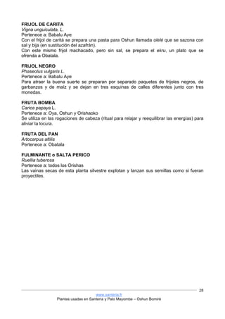 www.santeria.fr
Plantas usadas en Santería y Palo Mayombe – Oshun Bomiré
28
FRIJOL DE CARITA
Vigna unguiculata, L.
Pertenece a: Babalu Aye
Con el frijol de caritá se prepara una pasta para Oshun llamada olelé que se sazona con
sal y bija (en sustitución del azafrán).
Con este mismo frijol machacado, pero sin sal, se prepara el ekru, un plato que se
ofrenda a Obatala.
FRIJOL NEGRO
Phaseolus vulgaris L.
Pertenece a: Babalu Aye
Para atraer la buena suerte se preparan por separado paquetes de frijoles negros, de
garbanzos y de maíz y se dejan en tres esquinas de calles diferentes junto con tres
monedas.
FRUTA BOMBA
Carica papaya L.
Pertenece a: Oya, Oshun y Orishaoko
Se utiliza en las rogaciones de cabeza (ritual para relajar y reequilibrar las energías) para
aliviar la locura.
FRUTA DEL PAN
Artocarpus altilis
Pertenece a: Obatala
FULMINANTE o SALTA PERICO
Ruellia tuberosa
Pertenece a: todos los Orishas
Las vainas secas de esta planta silvestre explotan y lanzan sus semillas como si fueran
proyectiles.
 