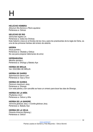 www.santeria.fr
Plantas usadas en Santería y Palo Mayombe – Oshun Bomiré
32
H
HELECHO HEMBRA
Athyrium filix-femina o Pteris aquilana
Pertenece a: Oshosi
HELECHO DE RIO
Osmunda regalis Lin.
Pertenece a: todos los Orishas
Este helecho crece en el fondos de los ríos y para los practicantes de la regla de Osha, es
una de las primeras hierbas del omiero de asiento.
HIEDRA
Ficus pumila L
Pertenece a: Obatala y Oddua
Se usa para preparar talismanes de amor.
HIERBABUENA
Mentha spicata L.
Pertenece a: Shango y Babalu Aye
HIERBA DE BRUJA
Ver: ESCOBA DE BRUJA
HIERBA DE GARRO
Spermacoce laevis Lam.
Pertenece a: Oya y Orun
HIERBA DE GUINEA
Panicum maximum Jacq.
Pertenece a: Shango
Con esta planta y con canutillo se hace un omiero para lavar las otas de Shango.
HIERBA DE LA NIÑA
Phyllantus niruri
Pertenece a: Oshun y Aña
HIERBA DE LA SANGRE
Varronia globosa Jacq. o Cordia globosa Jacq.
Pertenece a: Babalu Aye
HIERBA DE LA VIEJA
Flaveria trinervia (Spreng.)
Pertenece a: Oshun
 