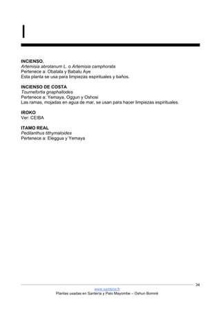 www.santeria.fr
Plantas usadas en Santería y Palo Mayombe – Oshun Bomiré
34
I
INCIENSO.
Artemisia abrotanum L. o Artemisia camphorata
Pertenece a: Obatala y Babalu Aye
Esta planta se usa para limpiezas espirituales y baños.
INCIENSO DE COSTA
Tournefortia gnaphallodes
Pertenece a: Yemaya, Oggun y Oshosi
Las ramas, mojadas en agua de mar, se usan para hacer limpiezas espirituales.
IROKO
Ver: CEIBA
ITAMO REAL
Pedilanthus tithymaloides
Pertenece a: Eleggua y Yemaya
 