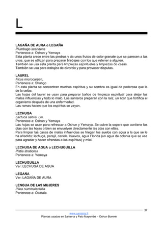 www.santeria.fr
Plantas usadas en Santería y Palo Mayombe – Oshun Bomiré
37
L
LAGAÑA DE AURA o LEGAÑA
Plumbago scandens
Pertenece a: Oshun y Yemaya
Esta planta crece entre las piedras y da unos frutos de color granate que se parecen a las
uvas, que se utilizan para preparar brebajes con los que retener a alguien.
También se usa esta planta para limpiezas espirituales y limpiezas de casas.
También se usa para trabajos de divorcio y para provocar disputas.
LAUREL
Ficus microcarpa L
Pertenece a: Shango
En esta planta se concentran muchos espíritus y su sombra es igual de poderosa que la
de la ceiba.
Las hojas del laurel se usan para preparar baños de limpieza espiritual para alejar las
malas influencias y todo lo malo. Los santeros preparan con la raíz, un licor que fortifica el
organismo después de una enfermedad.
Las ramas hacen que los espíritus se vayan.
LECHUGA
Lactuca sativa. Lin.
Pertenece a: Oshun y Yemaya
Las hojas se usan para refrescar a Oshun y Yemaya. Se cubre la sopera que contiene las
otas con las hojas o bien se envuelven directamente las otas con ellas.
Para limpiar las casas de malas influencias se friegan los suelos con agua a la que se le
ha añadido: lechuga, perejil, canela, huevos, agua Florida (un agua de colonia que se usa
para agradar y hacer ofrendas a los espíritus) y miel.
LECHUGA DE AGUA o LECHUGUILLA
Pistia stratiotes
Pertenece a: Yemaya
LECHUGUILLA
Ver: LECHUGA DE AGUA
LEGAÑA
Ver: LAGAÑA DE AURA
LENGUA DE LAS MUJERES
Pilea nummularifolia
Pertenece a: Obatala
 
