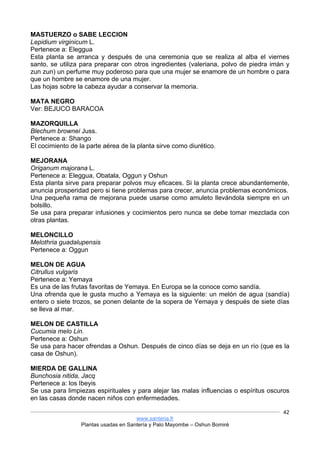 www.santeria.fr
Plantas usadas en Santería y Palo Mayombe – Oshun Bomiré
42
MASTUERZO o SABE LECCION
Lepidium virginicum L.
Pertenece a: Eleggua
Esta planta se arranca y después de una ceremonia que se realiza al alba el viernes
santo, se utiliza para preparar con otros ingredientes (valeriana, polvo de piedra imán y
zun zun) un perfume muy poderoso para que una mujer se enamore de un hombre o para
que un hombre se enamore de una mujer.
Las hojas sobre la cabeza ayudar a conservar la memoria.
MATA NEGRO
Ver: BEJUCO BARACOA
MAZORQUILLA
Blechum brownei Juss.
Pertenece a: Shango
El cocimiento de la parte aérea de la planta sirve como diurético.
MEJORANA
Origanum majorana L.
Pertenece a: Eleggua, Obatala, Oggun y Oshun
Esta planta sirve para preparar polvos muy eficaces. Si la planta crece abundantemente,
anuncia prosperidad pero si tiene problemas para crecer, anuncia problemas económicos.
Una pequeña rama de mejorana puede usarse como amuleto llevándola siempre en un
bolsillo.
Se usa para preparar infusiones y cocimientos pero nunca se debe tomar mezclada con
otras plantas.
MELONCILLO
Melothria guadalupensis
Pertenece a: Oggun
MELON DE AGUA
Citrullus vulgaris
Pertenece a: Yemaya
Es una de las frutas favoritas de Yemaya. En Europa se la conoce como sandía.
Una ofrenda que le gusta mucho a Yemaya es la siguiente: un melón de agua (sandía)
entero o siete trozos, se ponen delante de la sopera de Yemaya y después de siete días
se lleva al mar.
MELON DE CASTILLA
Cucumia melo Lin.
Pertenece a: Oshun
Se usa para hacer ofrendas a Oshun. Después de cinco días se deja en un río (que es la
casa de Oshun).
MIERDA DE GALLINA
Bunchosia nitida, Jacq
Pertenece a: los Ibeyis
Se usa para limpiezas espirituales y para alejar las malas influencias o espíritus oscuros
en las casas donde nacen niños con enfermedades.
 