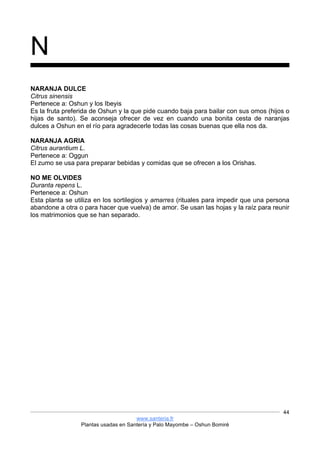 www.santeria.fr
Plantas usadas en Santería y Palo Mayombe – Oshun Bomiré
44
N
NARANJA DULCE
Citrus sinensis
Pertenece a: Oshun y los Ibeyis
Es la fruta preferida de Oshun y la que pide cuando baja para bailar con sus omos (hijos o
hijas de santo). Se aconseja ofrecer de vez en cuando una bonita cesta de naranjas
dulces a Oshun en el río para agradecerle todas las cosas buenas que ella nos da.
NARANJA AGRIA
Citrus aurantium L.
Pertenece a: Oggun
El zumo se usa para preparar bebidas y comidas que se ofrecen a los Orishas.
NO ME OLVIDES
Duranta repens L.
Pertenece a: Oshun
Esta planta se utiliza en los sortilegios y amarres (rituales para impedir que una persona
abandone a otra o para hacer que vuelva) de amor. Se usan las hojas y la raíz para reunir
los matrimonios que se han separado.
 
