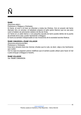 www.santeria.fr
Plantas usadas en Santería y Palo Mayombe – Oshun Bomiré
45
Ñ
ÑAME
Dioscorea alata L.
Pertenece a: Eleggua y Orishaoko
El ñame, el coco y el maíz se ofrendan a todos los Orishas. Con el corazón del ñame
(llamado ishu en yoruba), el babalawo prepara el iyefa (polvo blanco) que se usa para
cubrir el tablero de adivinación (tablero de Ifa) de Orula.
Un ñame en un plato blanco o una pequeña cazuela de barro puesta detrás de la puerta
de entrada de la casa, puede representar a Eleggua.
El ñame es también indispensable en las iniciaciones de la sociedad secreta Abakua.
ÑAME CIMARRON o ÑAME VOLADOR
Dioscorea pilosiuscula Bert,
Pertenece a: Orishaoko
Esta liana silvestre tiene las mismas virtudes que la ruda, es decir, aleja a los hechiceros
que vuelan.
Con la cepa se preparan polvos maléficos que el santero puede utilizar para hacer el mal
o para empujar a Eleggua a hacerlo.
ÑAME VOLADOR
Ver: ÑAME CIMARRON
 