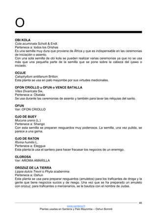 www.santeria.fr
Plantas usadas en Santería y Palo Mayombe – Oshun Bomiré
46
O
OBI KOLA
Cola acuminata Schott & Endl.
Pertenece a: todos los Orishas
Es una semilla muy dura que proviene de África y que es indispensable en las ceremonias
de iniciación o asiento.
Con una sola semilla de obi kola se pueden realizar varias ceremonias ya que no se usa
más que una pequeña parte de la semilla que se pone sobre la cabeza del iyawo o
iniciado.
OCUJE
Calophyllum antillanum Britton
Esta planta se usa en palo mayombe por sus virtudes medicinales.
OFON CRIOLLO u OFUN o VENCE BATALLA
Vites Divaricata Sw,
Pertenece a: Obatala
Se usa durante las ceremonias de asiento y también para lavar las reliquias del santo.
OFUN
Ver: OFON CRIOLLO
OJO DE BUEY
Mucuna urens (L.)
Pertenece a: Shango
Con esta semilla se preparan resguardos muy poderosos. La semilla, una vez pulida, se
parece a una gema.
OJO DE RATON
Rivina humilis L.
Pertenece a: Eleggua
Esta planta la usa el santero para hacer fracasar los negocios de un enemigo.
OLOROSA
Ver: AROMA AMARILLA
OROZUZ DE LA TIERRA
Lippia dulcis Trevir o Phyla scaberrima
Pertenece a: Oshun
Esta planta se usa para preparar resguardos (amuletos) para los traficantes de droga y la
gente que tiene negocios sucios y de riesgo. Una vez que se ha preparado un amuleto
con orozuz, para traficantes o mercenarios, se le bautiza con el nombre de Judas.
 