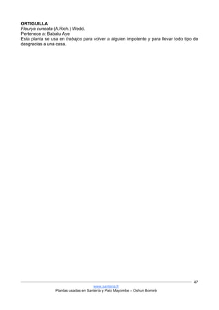 www.santeria.fr
Plantas usadas en Santería y Palo Mayombe – Oshun Bomiré
47
ORTIGUILLA
Fleurya cuneata (A.Rich.) Wedd.
Pertenece a: Babalu Aye
Esta planta se usa en trabajos para volver a alguien impotente y para llevar todo tipo de
desgracias a una casa.
 