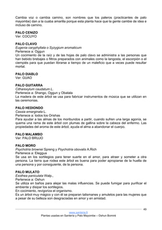 www.santeria.fr
Plantas usadas en Santería y Palo Mayombe – Oshun Bomiré
49
Cambia voz o cambia camino, son nombres que los paleros (practicantes de palo
mayombe) dan a la cuaba amarilla porque esta planta hace que la gente cambie de idea e
incluso de camino.
PALO CENIZO
Ver: COCUYO
PALO CLAVO
Eugenia caryphyllata o Syzygium aromaticum
Pertenece a: Oggun
Un cocimiento de la raíz y de las hojas de palo clavo se administra a las personas que
han bebido brebajes o filtros preparados con animales como la langosta, el escorpión o el
ciempiés para que puedan librarse a tiempo de un maleficio que a veces puede resultar
mortal.
PALO DIABLO
Ver: GUAO
PALO GUITARRA
Citharexylum caudatum L.
Pertenece a: Shango, Oggun y Obatala
La madera de este árbol se usa para fabricar instrumentos de música que se utilizan en
las ceremonias.
PALO HEDIONDO
Cassia emarginata L.
Pertenece a: todos los Orishas
Para ayudar a las almas de los moribundos a partir, cuando sufren una larga agonía, se
quema una rama de este árbol con plumas de gallina sobre la cabeza del enfermo. Las
propiedades del aroma de este árbol, ayuda el alma a abandonar el cuerpo.
PALO MALAMBO
Ver: PALO BRUJO
PALO MORO
Psychotria brownei Spreng y Psychotria obovalis A.Rich
Pertenece a: Eleggua
Se usa en los sortilegios para tener suerte en el amor, para atraer y someter a otra
persona. La tierra que rodea este árbol es buena para poder apropiarse de la huella de
una persona y por consiguiente, de la persona.
PALO MULATO
Exothea paniculata Walp.,
Pertenece a: Oshun
Se utiliza en baños para alejar las malas influencias. Se puede fumigar para purificar el
ambiente y disipar los sortilegios.
En cocimiento, revigoriza el organismo.
Es un árbol muy mágico y con él se preparan talismanes y amuletos para las mujeres que
a pesar de su belleza son desgraciadas en amor y en amistad.
 