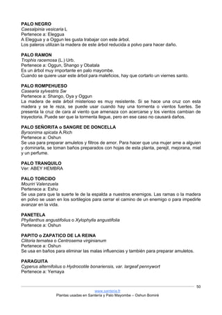 www.santeria.fr
Plantas usadas en Santería y Palo Mayombe – Oshun Bomiré
50
PALO NEGRO
Caesalpinia vesicaria L
Pertenece a: Eleggua
A Eleggua y a Oggun les gusta trabajar con este árbol.
Los paleros utilizan la madera de este árbol reducida a polvo para hacer daño.
PALO RAMON
Trophis racemosa (L.) Urb.
Pertenece a: Oggun, Shango y Obatala
Es un árbol muy importante en palo mayombe.
Cuando se quiere usar este árbol para maleficios, hay que cortarlo un viernes santo.
PALO ROMPEHUESO
Casearia sylvestris Sw
Pertenece a: Shango, Oya y Oggun
La madera de este árbol misterioso es muy resistente. Si se hace una cruz con esta
madera y se le reza, se puede usar cuando hay una tormenta o vientos fuertes. Se
presenta la cruz de cara al viento que amenaza con acercarse y los vientos cambian de
trayectoria. Puede ser que la tormenta llegue, pero en ese caso no causará daños.
PALO SEÑORITA o SANGRE DE DONCELLA
Byrsonima spicata A.Rich
Pertenece a: Oshun
Se usa para preparar amuletos y filtros de amor. Para hacer que una mujer ame a alguien
y dominarla, se toman baños preparados con hojas de esta planta, perejil, mejorana, miel
y un perfume.
PALO TRANQUILO
Ver: ABEY HEMBRA
PALO TORCIDO
Mouriri Valenzuela
Pertenece a: Eshu
Se usa para que la suerte le de la espalda a nuestros enemigos. Las ramas o la madera
en polvo se usan en los sortilegios para cerrar el camino de un enemigo o para impedirle
avanzar en la vida.
PANETELA
Phyllanthus angustifolius o Xylophylla angustifolia
Pertenece a: Oshun
PAPITO o ZAPATICO DE LA REINA
Clitoria ternatea o Centrosema virginianum
Pertenece a: Oshun
Se usa en baños para eliminar las malas influencias y también para preparar amuletos.
PARAGUITA
Cyperus alternifolius o Hydrocotile bonariensis, var. largeaf pennywort
Pertenece a: Yemaya
 
