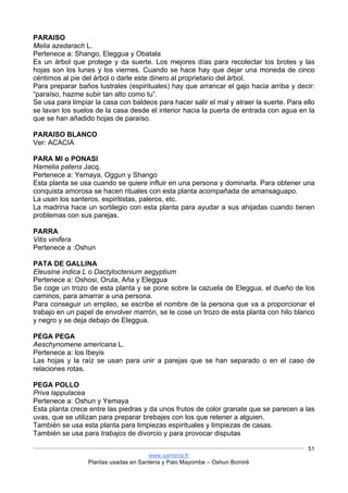 www.santeria.fr
Plantas usadas en Santería y Palo Mayombe – Oshun Bomiré
51
PARAISO
Melia azedarach L.
Pertenece a: Shango, Eleggua y Obatala
Es un árbol que protege y da suerte. Los mejores días para recolectar los brotes y las
hojas son los lunes y los viernes. Cuando se hace hay que dejar una moneda de cinco
céntimos al pie del árbol o darle este dinero al proprietario del árbol.
Para preparar baños lustrales (espirituales) hay que arrancar el gajo hacia arriba y decir:
“paraíso, hazme subir tan alto como tu”.
Se usa para limpiar la casa con baldeos para hacer salir el mal y atraer la suerte. Para ello
se lavan los suelos de la casa desde el interior hacia la puerta de entrada con agua en la
que se han añadido hojas de paraíso.
PARAISO BLANCO
Ver: ACACIA
PARA MI o PONASI
Hamelia patens Jacq.
Pertenece a: Yemaya, Oggun y Shango
Esta planta se usa cuando se quiere influir en una persona y dominarla. Para obtener una
conquista amorosa se hacen rituales con esta planta acompañada de amansaguapo.
La usan los santeros, espiritistas, paleros, etc.
La madrina hace un sortilegio con esta planta para ayudar a sus ahijadas cuando tienen
problemas con sus parejas.
PARRA
Vitis vinifera
Pertenece a :Oshun
PATA DE GALLINA
Eleusine indica L o Dactyloctenium aegyptium
Pertenece a: Oshosi, Orula, Aña y Eleggua
Se coge un trozo de esta planta y se pone sobre la cazuela de Eleggua, el dueño de los
caminos, para amarrar a una persona.
Para conseguir un empleo, se escribe el nombre de la persona que va a proporcionar el
trabajo en un papel de envolver marrón, se le cose un trozo de esta planta con hilo blanco
y negro y se deja debajo de Eleggua.
PEGA PEGA
Aeschynomene americana L.
Pertenece a: los Ibeyis
Las hojas y la raíz se usan para unir a parejas que se han separado o en el caso de
relaciones rotas.
PEGA POLLO
Priva lappulacea
Pertenece a: Oshun y Yemaya
Esta planta crece entre las piedras y da unos frutos de color granate que se parecen a las
uvas, que se utilizan para preparar brebajes con los que retener a alguien.
También se usa esta planta para limpiezas espirituales y limpiezas de casas.
También se usa para trabajos de divorcio y para provocar disputas
 