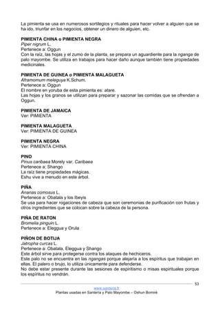 www.santeria.fr
Plantas usadas en Santería y Palo Mayombe – Oshun Bomiré
53
La pimienta se usa en numerosos sortilegios y rituales para hacer volver a alguien que se
ha ido, triunfar en los negocios, obtener un dinero de alguien, etc.
PIMIENTA CHINA o PIMIENTA NEGRA
Piper nigrum L.
Pertenece a: Oggun
Con la raíz, las hojas y el zumo de la planta, se prepara un aguardiente para la nganga de
palo mayombe. Se utiliza en trabajos para hacer daño aunque también tiene propiedades
medicinales.
PIMIENTA DE GUINEA o PIMIENTA MALAGUETA
Aframomum meleguya K.Schum.
Pertenece a: Oggun
El nombre en yoruba de esta pimienta es: atare.
Las hojas y los granos se utilizan para preparar y sazonar las comidas que se ofrendan a
Oggun.
PIMIENTA DE JAMAICA
Ver: PIMIENTA
PIMIENTA MALAGUETA
Ver: PIMIENTA DE GUINEA
PIMIENTA NEGRA
Ver: PIMIENTA CHINA
PINO
Pinus caribaea Morely var. Caribaea
Pertenece a: Shango
La raíz tiene propiedades mágicas.
Eshu vive a menudo en este árbol.
PIÑA
Ananas comosus L.
Pertenece a: Obatala y los Ibeyis
Se usa para hacer rogaciones de cabeza que son ceremonias de purificación con frutas y
otros ingredientes que se colocan sobre la cabeza de la persona.
PIÑA DE RATON
Bromelia pinguin L.
Pertenece a: Eleggua y Orula
PIÑON DE BOTIJA
Jatropha curcas L.
Pertenece a: Obatala, Eleggua y Shango
Este árbol sirve para protegerse contra los ataques de hechiceros.
Este palo no se encuentra en las ngangas porque alejaría a los espíritus que trabajan en
ellas. El palero o brujo, lo utiliza únicamente para defenderse.
No debe estar presente durante las sesiones de espiritismo o misas espirituales porque
los espíritus no vendrán.
 