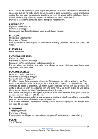 www.santeria.fr
Plantas usadas en Santería y Palo Mayombe – Oshun Bomiré
54
Esta cualidad se aprovecha para limpiar las puertas de entrada de las casas cuando se
sospecha que se ha sido objeto de un hechizo o para inmunizarse contra eventuales
daños. En ese caso, se aconseja añadir a un cubo de agua: salvia, albahaca, ñame,
manteca de corojo y jengibre y limpiar con todo esto el marco de la puerta.
Durante la Cuaresma, este palo se usa solo para hacer el bien.
PIÑON DE PITO
Erythrina berteroana Urb.
Pertenece a: Eleggua
Se usa para lavar las reliquias del santo y en trabajos rituales.
PITAHAYA
Hylocereus undatus Haw.
Pertenece a: Shango
La flor y los frutos se usan para hacer ofrendas a Shango, divinidad de los tambores y del
fuego.
PLATANILLO
Piper aduncum L.
PLATANILLO DE CUBA
Canna coccinea
Pertenece a: Oshun y los Ibeyis
Se usa en baños espirituales y trabajos de santería.
Es muy eficaz en rituales para evitar que alguien se vaya y también para hacer que
alguien se vaya de su casa.
PLATANO MANZANO
Musa sp. o Musa paradisiaca L.
Pertenece a: Shango y Eleggua
En yoruba se llama ogguede.
El plátano es una fruta que gusta a todos los Orishas pero sobre todo a Shango y a Oya.
Cuando se quiere calmar a Shango, se prepara una pomada con manteca de corojo,
manteca de cacao y cascarilla. Se frotan cuatro plátanos verdes con esta pomada de
arriba a abajo, se atan los plátanos con una cinta roja y se llevan al pie de una ceiba
(árbol sagrado) para pedirle a Obatala que calme a Shango.
Para evitar una desgracia, se dejan los plátanos en el lado oeste del árbol; para provocar
una desgracia se dejan en el lado este.
Para quitarle una enfermedad a una persona se realiza un ritual con plátano y cascarilla
pero se trata de un ritual secreto, solemne y costoso.
Con plátano manzano, aguardiente, maíz y azúcar moreno se prepara una bebida muy
del gusto de Eleggua.
POMARROSA
Syzygium jambos L.
Pertenece a: Oshun
Es una planta temida por los mayomberos ya que está considerada como matabrujo.
PONASI
Ver: PARA MI
 