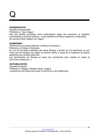 www.santeria.fr
Plantas usadas en Santería y Palo Mayombe – Oshun Bomiré
56
Q
QUIEBRAHACHA
Copaifera hymenaefolia
Pertenece a: Oya y Oggun
Hay dos árboles conocidos como quiebrahacha según las provincias: el copaifera
hymenaefolia y el Ehryia tinifolia L., al que también se le llama caguairán y roble prieto.
Se usa para hacer trabajos con Oggun.
QUIMBOMBO
Abelmoschus esculentus Moench o Hibiscus esculentus L.
Pertenece a: Shango y Orishaoko
Es uno de los platos preferidos del orisha Shango y temido por los hechiceros ya que
creen que los trabajos que hagan no tendrán efecto a causa de la sustancia de textura
gelatinosa que contiene este fruto.
Las herramientas de Shango se lavan con quimbombó seco mojado en malva té
(Corchorus siliquosus L.).
QUITAMALDICION
Caesalpinia bonduc
Pertenece a: Eleggua, Obatala, Osain y Oggun
La planta se usa cocida para quitar el mal de ojo y las maldiciones.
 