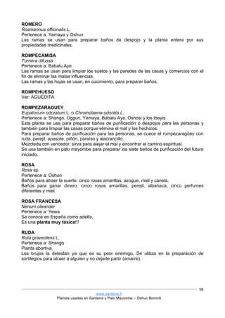 www.santeria.fr
Plantas usadas en Santería y Palo Mayombe – Oshun Bomiré
58
ROMERO
Rosmarinus officinalis L.
Pertenece a: Yemaya y Oshun
Las ramas se usan para preparar baños de despojo y la planta entera por sus
propiedades medicinales.
ROMPECAMISA
Turnera difussa
Pertenece a: Babalu Aye
Las ramas se usan para limpiar los suelos y las paredes de las casas y comercios con el
fin de eliminar las malas influencias.
Las ramas y las hojas se usan, en cocimiento, para preparar baños.
ROMPEHUESO
Ver: AGUEDITA
ROMPEZARAGUEY
Eupatorium odoratum L. o Chromolaena odorata L.
Pertenece a: Shango, Oggun, Yemaya, Babalu Aye, Oshosi y los Ibeyis
Esta planta se usa para preparar baños de purificación o despojos para las personas y
también para limpiar las casas porque elimina el mal y los hechizos.
Para preparar baños de purificación para las personas, se cuece el rompezaragüey con
ruda, perejil, apasote, piñón, paraíso y alacrancillo.
Mezclada con vencedor, sirva para alejar el mal y encontrar el camino espiritual.
Se usa también en palo mayombe para preparar los siete baños de purificación del futuro
iniciado.
ROSA
Rosa sp.
Pertenece a: Oshun
Baños para atraer la suerte: cinco rosas amarillas, azogue, miel y canela.
Baños para ganar dinero: cinco rosas amarillas, perejil, albahaca, cinco perfumes
diferentes y miel.
ROSA FRANCESA
Nerium oleander
Pertenece a: Yewa
Se conoce en España como adelfa.
Es una planta muy tóxica!!!
RUDA
Ruta graveolens L.
Pertenece a: Shango
Planta abortiva.
Los brujos la detestan ya que es su peor enemigo. Se utiliza en la preparación de
sortilegios para atraer a alguien y no dejarle partir (amarre).
 