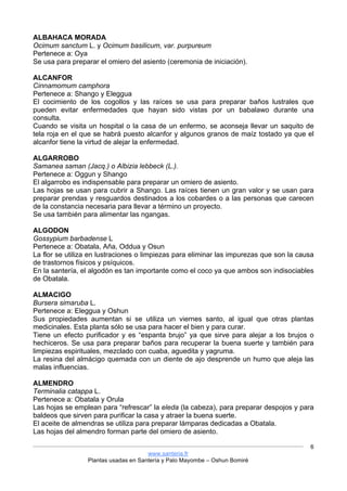 www.santeria.fr
Plantas usadas en Santería y Palo Mayombe – Oshun Bomiré
6
ALBAHACA MORADA
Ocimum sanctum L. y Ocimum basilicum, var. purpureum
Pertenece a: Oya
Se usa para preparar el omiero del asiento (ceremonia de iniciación).
ALCANFOR
Cinnamomum camphora
Pertenece a: Shango y Eleggua
El cocimiento de los cogollos y las raíces se usa para preparar baños lustrales que
pueden evitar enfermedades que hayan sido vistas por un babalawo durante una
consulta.
Cuando se visita un hospital o la casa de un enfermo, se aconseja llevar un saquito de
tela roja en el que se habrá puesto alcanfor y algunos granos de maíz tostado ya que el
alcanfor tiene la virtud de alejar la enfermedad.
ALGARROBO
Samanea saman (Jacq.) o Albizia lebbeck (L.).
Pertenece a: Oggun y Shango
El algarrobo es indispensable para preparar un omiero de asiento.
Las hojas se usan para cubrir a Shango. Las raíces tienen un gran valor y se usan para
preparar prendas y resguardos destinados a los cobardes o a las personas que carecen
de la constancia necesaria para llevar a término un proyecto.
Se usa también para alimentar las ngangas.
ALGODON
Gossypium barbadense L
Pertenece a: Obatala, Aña, Oddua y Osun
La flor se utiliza en lustraciones o limpiezas para eliminar las impurezas que son la causa
de trastornos físicos y psíquicos.
En la santería, el algodón es tan importante como el coco ya que ambos son indisociables
de Obatala.
ALMACIGO
Bursera simaruba L.
Pertenece a: Eleggua y Oshun
Sus propiedades aumentan si se utiliza un viernes santo, al igual que otras plantas
medicinales. Esta planta sólo se usa para hacer el bien y para curar.
Tiene un efecto purificador y es “espanta brujo” ya que sirve para alejar a los brujos o
hechiceros. Se usa para preparar baños para recuperar la buena suerte y también para
limpiezas espirituales, mezclado con cuaba, aguedita y yagruma.
La resina del almácigo quemada con un diente de ajo desprende un humo que aleja las
malas influencias.
ALMENDRO
Terminalia catappa L.
Pertenece a: Obatala y Orula
Las hojas se emplean para “refrescar” la eleda (la cabeza), para preparar despojos y para
baldeos que sirven para purificar la casa y atraer la buena suerte.
El aceite de almendras se utiliza para preparar lámparas dedicadas a Obatala.
Las hojas del almendro forman parte del omiero de asiento.
 