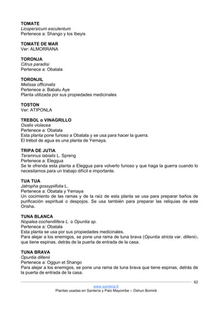 www.santeria.fr
Plantas usadas en Santería y Palo Mayombe – Oshun Bomiré
62
TOMATE
Licopersicum esculentum
Pertenece a: Shango y los Ibeyis
TOMATE DE MAR
Ver: ALMORRANA
TORONJA
Citrus paradisi
Pertenece a: Obatala
TORONJIL
Melissa officinalis
Pertenece a: Babalu Aye
Planta utilizada por sus propiedades medicinales
TOSTON
Ver: ATIPONLA
TREBOL o VINAGRILLO
Oxalis violacea
Pertenece a: Obatala
Esta planta pone furioso a Obatala y se usa para hacer la guerra.
El trébol de agua es una planta de Yemaya.
TRIPA DE JUTIA
Teramnus labialis L. Spreng
Pertenece a: Eleggua
Se le ofrenda esta planta a Eleggua para volverlo furioso y que haga la guerra cuando lo
necesitamos para un trabajo difícil e importante.
TUA TUA
Jatropha gossypiifolia L.
Pertenece a: Obatala y Yemaya
Un cocimiento de las ramas y de la raíz de esta planta se usa para preparar baños de
purificación espiritual o despojos. Se usa también para preparar las reliquias de este
Orisha.
TUNA BLANCA
Nopalea cochenillifera L. o Opuntia sp.
Pertenece a: Obatala
Esta planta se usa por sus propiedades medicinales.
Para alejar a los enemigos, se pone una rama de tuna brava (Opuntia stricta var. dillenii),
que tiene espinas, detrás de la puerta de entrada de la casa.
TUNA BRAVA
Opuntia dillenii
Pertenece a: Oggun et Shango
Para alejar a los enemigos, se pone una rama de tuna brava que tiene espinas, detrás de
la puerta de entrada de la casa.
 