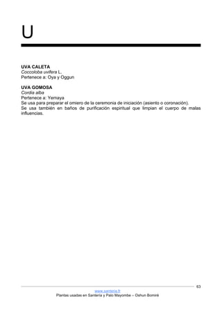 www.santeria.fr
Plantas usadas en Santería y Palo Mayombe – Oshun Bomiré
63
U
UVA CALETA
Coccoloba uvifera L.
Pertenece a: Oya y Oggun
UVA GOMOSA
Cordia alba
Pertenece a: Yemaya
Se usa para preparar el omiero de la ceremonia de iniciación (asiento o coronación).
Se usa también en baños de purificación espiritual que limpian el cuerpo de malas
influencias.
 