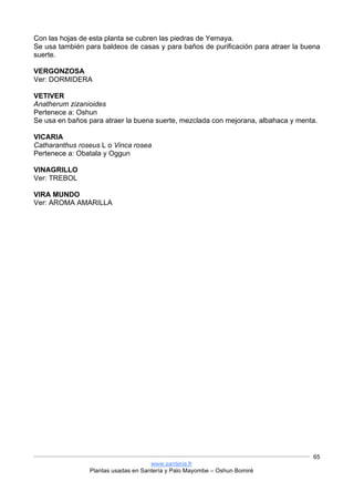 www.santeria.fr
Plantas usadas en Santería y Palo Mayombe – Oshun Bomiré
65
Con las hojas de esta planta se cubren las piedras de Yemaya.
Se usa también para baldeos de casas y para baños de purificación para atraer la buena
suerte.
VERGONZOSA
Ver: DORMIDERA
VETIVER
Anatherum zizanioides
Pertenece a: Oshun
Se usa en baños para atraer la buena suerte, mezclada con mejorana, albahaca y menta.
VICARIA
Catharanthus roseus L o Vinca rosea
Pertenece a: Obatala y Oggun
VINAGRILLO
Ver: TREBOL
VIRA MUNDO
Ver: AROMA AMARILLA
 