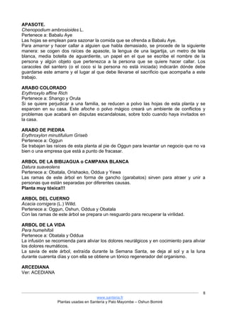 www.santeria.fr
Plantas usadas en Santería y Palo Mayombe – Oshun Bomiré
8
APASOTE.
Chenopodium ambrosioides L.
Pertenece a: Babalu Aye
Las hojas se emplean para sazonar la comida que se ofrenda a Babalu Aye.
Para amarrar y hacer callar a alguien que habla demasiado, se procede de la siguiente
manera: se cogen dos raíces de apasote, la lengua de una lagartija, un metro de tela
blanca, media botella de aguardiente, un papel en el que se escribe el nombre de la
persona y algún objeto que pertenezca a la persona que se quiere hacer callar. Los
caracoles del santero (o el coco si la persona no está iniciada) indicarán dónde debe
guardarse este amarre y el lugar al que debe llevarse el sacrificio que acompaña a este
trabajo.
ARABO COLORADO
Erythroxylo affine Rich
Pertenece a: Shango y Orula
Si se quiere perjudicar a una familia, se reducen a polvo las hojas de esta planta y se
esparcen en su casa. Este afoche o polvo mágico creará un ambiente de conflictos y
problemas que acabará en disputas escandalosas, sobre todo cuando haya invitados en
la casa.
ARABO DE PIEDRA
Erythroxylon minutifulium Griseb
Pertenece a: Oggun
Se trabajan las raíces de esta planta al pie de Oggun para levantar un negocio que no va
bien o una empresa que está a punto de fracasar.
ARBOL DE LA BIBIJAGUA o CAMPANA BLANCA
Datura suaveolens
Pertenece a: Obatala, Orishaoko, Oddua y Yewa
Las ramas de este árbol en forma de gancho (garabatos) sirven para atraer y unir a
personas que están separadas por diferentes causas.
Planta muy tóxica!!!
ARBOL DEL CUERNO
Acacia cornigera (L.) Willd.
Pertenece a: Oggun, Oshun, Oddua y Obatala
Con las ramas de este árbol se prepara un resguardo para recuperar la virilidad.
ARBOL DE LA VIDA
Pera humehifoli
Pertenece a: Obatala y Oddua
La infusión se recomienda para aliviar los dolores neurálgicos y en cocimiento para aliviar
los dolores reumáticos.
La savia de este árbol, extraída durante la Semana Santa, se deja al sol y a la luna
durante cuarenta días y con ella se obtiene un tónico regenerador del organismo.
ARCEDIANA
Ver: ACEDIANA
 