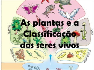 As plantas e a Classificação dos seres vivos 