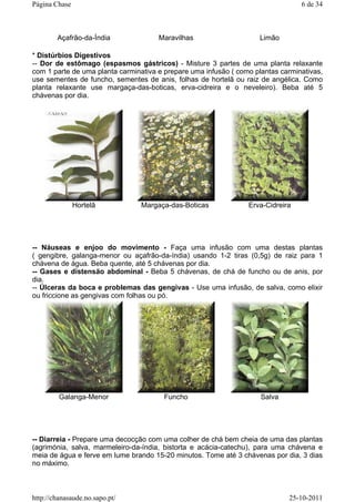 * Distúrbios Digestivos
-- Dor de estômago (espasmos gástricos) - Misture 3 partes de uma planta relaxante
com 1 parte de uma planta carminativa e prepare uma infusão ( como plantas carminativas,
use sementes de funcho, sementes de anis, folhas de hortelã ou raiz de angélica. Como
planta relaxante use margaça-das-boticas, erva-cidreira e o neveleiro). Beba até 5
chávenas por dia.
-- Náuseas e enjoo do movimento - Faça uma infusão com uma destas plantas
( gengibre, galanga-menor ou açafrão-da-índia) usando 1-2 tiras (0,5g) de raiz para 1
chávena de água. Beba quente, até 5 chávenas por dia.
-- Gases e distensão abdominal - Beba 5 chávenas, de chá de funcho ou de anis, por
dia.
-- Úlceras da boca e problemas das gengivas - Use uma infusão, de salva, como elixir
ou friccione as gengivas com folhas ou pó.
-- Diarreia - Prepare uma decocção com uma colher de chá bem cheia de uma das plantas
(agrimónia, salva, marmeleiro-da-índia, bistorta e acácia-catechu), para uma chávena e
meia de água e ferve em lume brando 15-20 minutos. Tome até 3 chávenas por dia, 3 dias
no máximo.
Açafrão-da-Índia Maravilhas Limão
Hortelã Margaça-das-Boticas Erva-Cidreira
Galanga-Menor Funcho Salva
6 de 34Página Chase
25-10-2011http://chanasaude.no.sapo.pt/
 