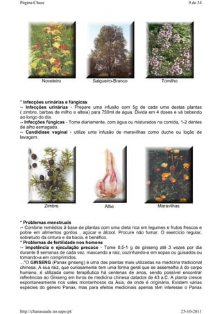 * Infecções urinárias e fúngicas
-- Infecções urinárias - Prepare uma infusão com 5g de cada uma destas plantas
( zimbro, barbas de milho e alteia) para 750ml de água. Divida em 4 doses e vá bebendo
ao longo do dia.
-- Infecções fúngicas - Tome diariamente, com água ou misturados na comida, 1-2 dentes
de alho esmagado.
-- Candidíase vaginal - utilize uma infusão de maravilhas como duche ou loção de
lavagem.
* Problemas menstruais
-- Combine remédios à base de plantas com uma dieta rica em legumes e frutos frescos e
pobre em alimentos gordos , açúcar e álcool. Procure não fumar. O exercício regular,
sobretudo da cintura e da bacia, é benéfico.
* Problemas de fertilidade nos homens
-- Impotência e ejeculação precoce - Tome 0,5-1 g de ginseng até 3 vezes por dia
durante 6 semanas de cada vez, mascando a raiz, cozinhando-a em sopas ou guisados ou
tomando-a em comprimidos.
..."O GINSENG (Panax ginseng) é uma das plantas mais utilizadas na medicina tradicional
chinesa. A sua raiz, que curiosamente tem uma forma geral que se assemelha à do corpo
humano, é utilizada como terapêutica há centenas de anos, sendo possível encontrar
referências ao Ginseng em livros de medicina chinesa datados de 43 a.C. A planta cresce
espontaneamente nos vales montanhosos da Ásia, de onde é originária. Existem várias
espécies do género Panax, mas para efeitos medicinais apenas têm interesse o Panax
Noveleiro Salgueiro-Branco Tomilho
Zimbro Alho Maravilhas
9 de 34Página Chase
25-10-2011http://chanasaude.no.sapo.pt/
 