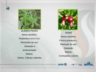 QUEBRA PEDRA
Nome científico:
Phyllanthus niruri Linn.
Restrições de uso:
Gestação e
amamentação
Efeitos:
Aborto, Cólicas e diarréia
ROMÃ
Nome científico:
Punica granatum L.
Restrição de uso:
Gestação
Efeitos:
Contrações e aborto
 