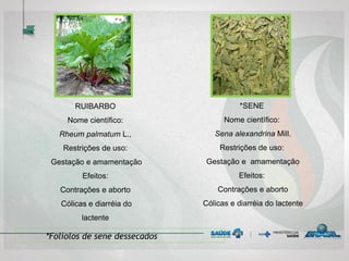 RUIBARBO
Nome científico:
Rheum palmatum L.,
Restrições de uso:
Gestação e amamentação
Efeitos:
Contrações e aborto
Cólicas e diarréia do
lactente
*SENE
Nome científico:
Sena alexandrina Mill.
Restrições de uso:
Gestação e amamentação
Efeitos:
Contrações e aborto
Cólicas e diarréia do lactente
*Folíolos de sene dessecados
 