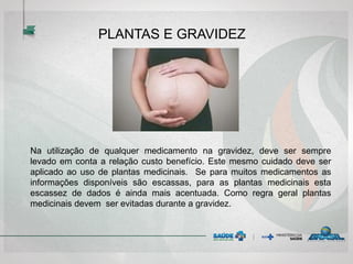PLANTAS E GRAVIDEZ
Na utilização de qualquer medicamento na gravidez, deve ser sempre
levado em conta a relação custo benefício. Este mesmo cuidado deve ser
aplicado ao uso de plantas medicinais. Se para muitos medicamentos as
informações disponíveis são escassas, para as plantas medicinais esta
escassez de dados é ainda mais acentuada. Como regra geral plantas
medicinais devem ser evitadas durante a gravidez.
 