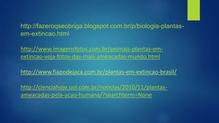 http://fazeroqseobriga.blogspot.com.br/p/biologia-plantas-
em-extincao.html
http://www.imagensfotos.com.br/animais-plantas-em-
extincao-veja-fotos-das-mais-ameacadas-mundo.html
http://www.fiapodejaca.com.br/plantas-em-extincao-brasil/
http://cienciahoje.uol.com.br/noticias/2010/11/plantas-
ameacadas-pela-acao-humana/?searchterm=None
 