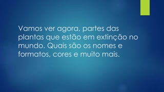 Vamos ver agora, partes das
plantas que estão em extinção no
mundo. Quais são os nomes e
formatos, cores e muito mais.
 