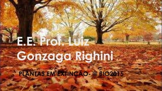 E.E. Prof. Luiz
Gonzaga Righini
PLANTAS EM EXTINÇÃO- @ BIO2015
 